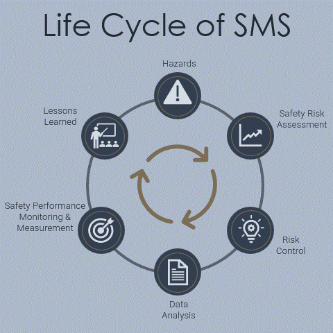 Connecting SMS for the Future